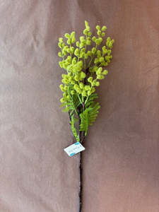 Pots Plants Foliage: Artisan Florals | Artificial Mimosa Berry Foliage | 58cm