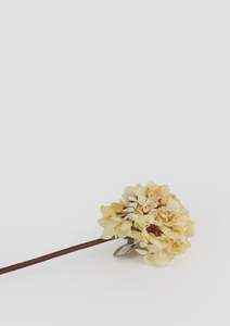 Pots Plants Foliage: Flower Systems | Dried Look Hydrangea | Cream