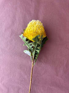 Pots Plants Foliage: Flower Systems | Artificial Banksia | Green