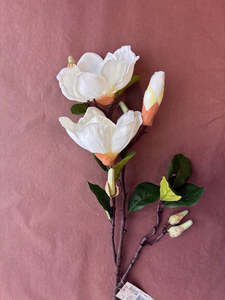 Pots Plants Foliage: Robert Mark | Artificial Magnolia Branch | Cream