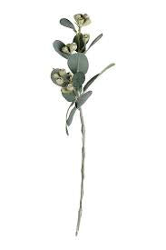 Pots Plants Foliage: Flower Systems | Mini Eucalyptus Pod Spray | Green