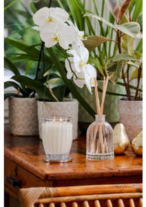 Newin: Peppermint Grove