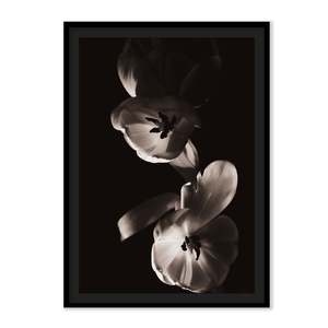 Art: The L Studio. THE SWING ON THINGS - Limited Edition