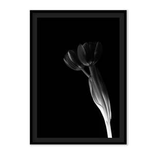 Art: The L Studio. NODDING OFF - Limited Edition