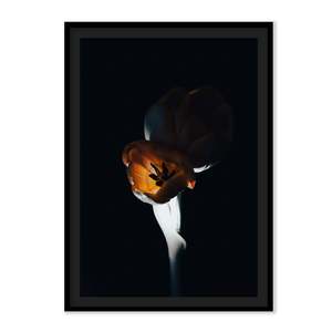 Art: The L Studio. NIGHT FLAMES - Limited Edition