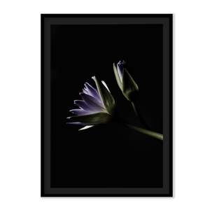Art: The L Studio. WHERE WATER LEARNS TO BREATHE - Limited Edition