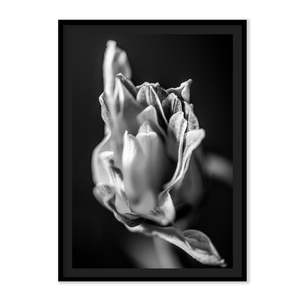 Art: The L Studio. BECOMING - Limited Edition
