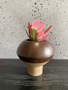 Hagi succulent set (brown)