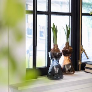Gifts: Hyacinth Bulb Vase