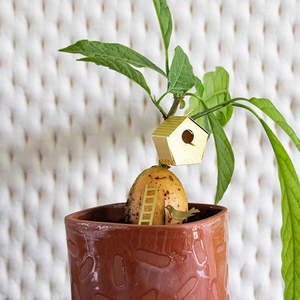 Tiny birdhouse (for your plants)