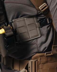 Ready To Roar: Bino Harness Wings (1 Set)