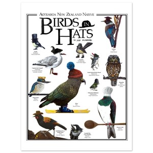 Aotearoa New Zealand Native Birds In Hats – Premium Matte Paper Poster Print – Two Ruru