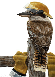 Climate Change Kookaburra – PDF – Two Ruru