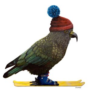 Skea – PDF – Two Ruru