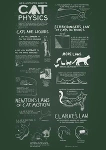 Digital Downloads: Cat Physics – PDF – Two Ruru
