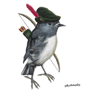 Digital Downloads: South Island Robin Hood – PDF – Two Ruru