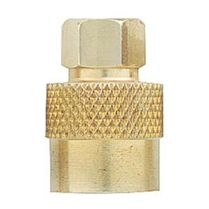 Valve Cap Lg Bore Hex Type  - Sold Each