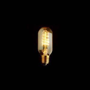 Bulbs: Vintage Edison Bulb 45 E27