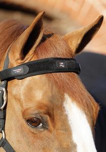 Premier Equine Magni-Teque Magnetic Browband PEI