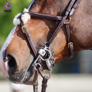 Trust Bits: Trust Pelham Roundings