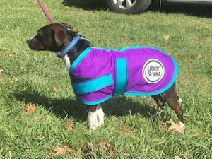 2020 Re Stock And Releases: Snugga Dog Rug - Fleece Lined