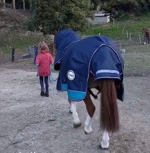 All: 1200D Terrain Detach-a-Neck - EOL 200g+