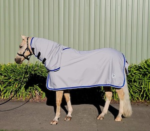 All: Deluxe Show Combo + Tail Bag