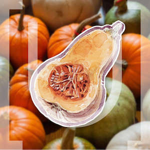 Pumpkin Food: Butternut Squash