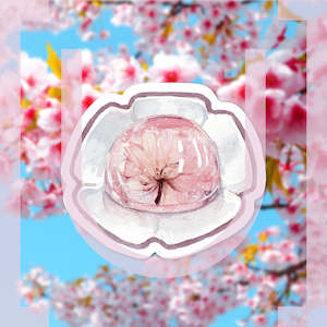 Sakura Jelly