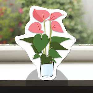 Pot Plants: Pot Plant Pink Anturium