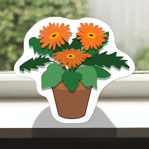 Pot Plants: Pot Plant Pansies