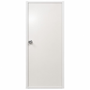 Products: PVC Door