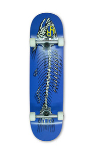 Skate: Shifty - Skeleton Complete 8.25"