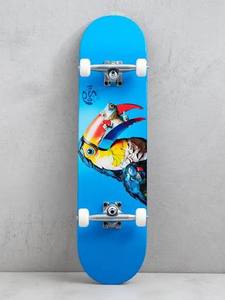 Skate: PUSH Toucan 8.0" Complete