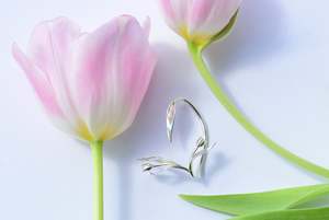 Botanical: Antheia Tulip Ear Cuff