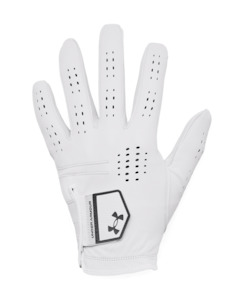 UA Drive Tour Men's Glove