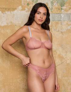 Astra Lace Knicker