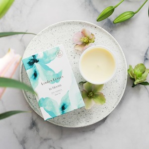 Linden Leaves: Linden Leaves IB Soy Candle AL 300g