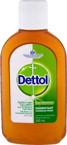 Dettol: Dettol Liquid 250ml