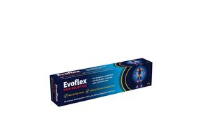 Antiseptic Topical Treatments: Evoflex Pain Relief Gel 30g