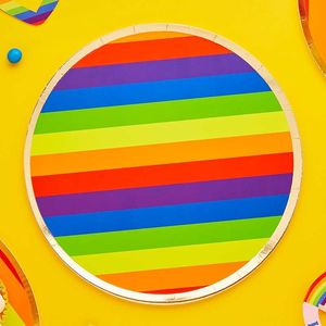 1st Birthdays: Rainbow Paper Plates (8)