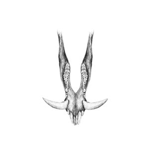 Products: Jaw Fine Art Print - Unjustified Risk