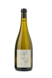 All: Cirrus Chardonnay 2023