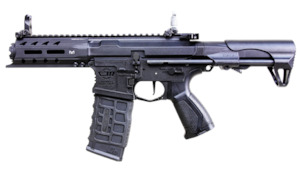 Electric Gun Aeg: G&G ARP556 V2S AEG
