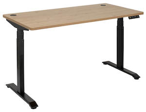 Google Supplier: Pulse Electric Height Adjustable Desk Dual Motor