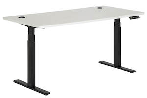 Google Supplier: Electric Height Adjustable Desk Dual Motor