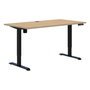 Standing Desks: Duo II Electric Desk