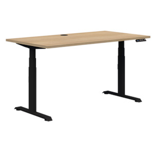 Standing Desks: Summit II Single Electric Desk