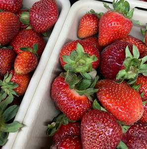 Strawberry Punnet 300g