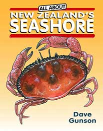 Products: All About New Zealand's Seashore - Upstart Press